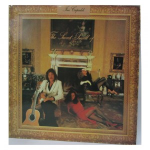 Vinyl record (33rpm - LP)...