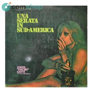 Vinyl record (33rpm - LP)...