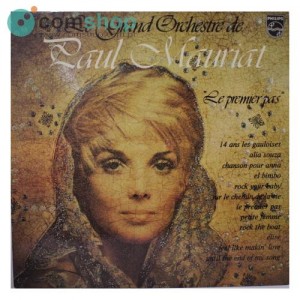 Vinyl record (33rpm - LP)...