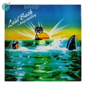 Vinyl record (33rpm - LP)...