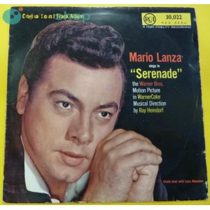 Vinyl record (33rpm - LP)...