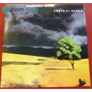 Vinyl Record (33rpm - LP)...