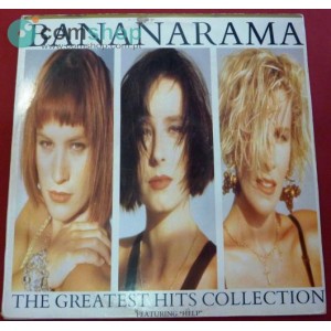 Vinyl Record (33rpm - LP)...