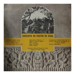 Disco vinil (33rpm - LP)...