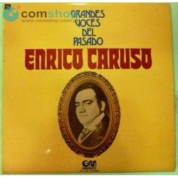 Vinyl Record (33rpm) Enrico...