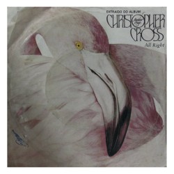 Disco vinil (45rpm -...