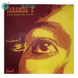 Disco vinil (33rpm - LP)...