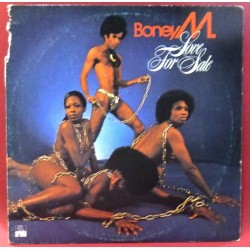 Vinyl Record (33rpm - LP)...