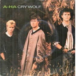 Disco vinil (45rpm - Maxi...