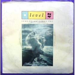 Vinyl Record (45rpm) Level...