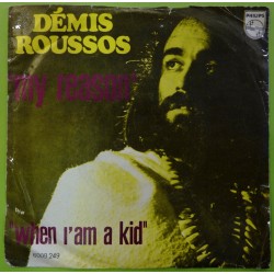 Vinyl Record (45rpm) Demis...